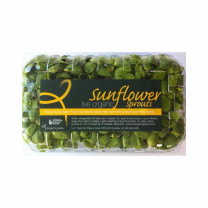 Sunflower Sprouts Live
