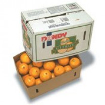 Navel Oranges Bulk Box